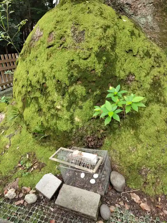 熱田神宮の自然