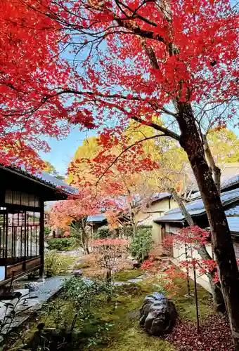 真正極楽寺（真如堂）の庭園