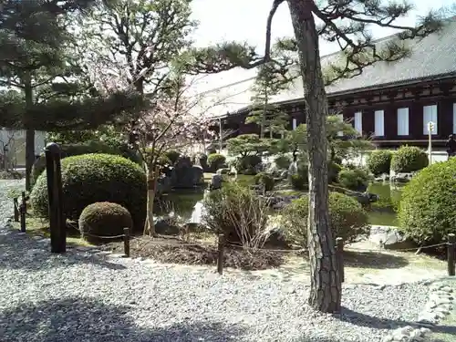 蓮華王院（三十三間堂）の庭園