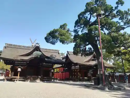 住吉大社の本殿