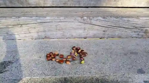 丹内山神社の建物その他