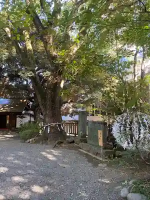 乃木神社(東京都)