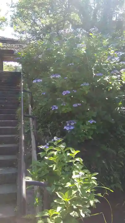 東慶寺(神奈川県)