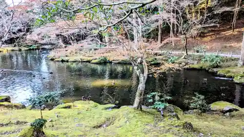 成田山新勝寺の庭園