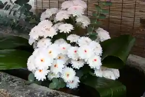 三津厳島神社(愛媛県)(2026年04月10日(金) 09時47分10秒投稿)