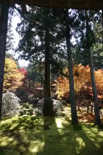 三千院門跡の庭園