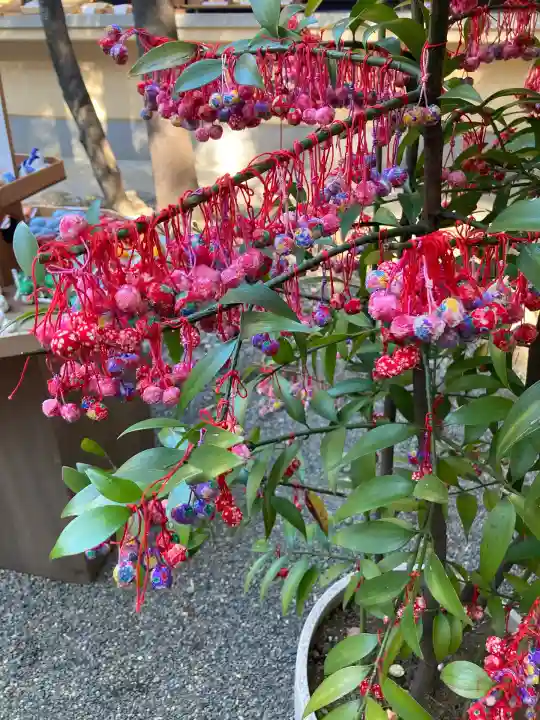 赤坂氷川神社(東京都)