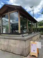 飛行神社の建物その他