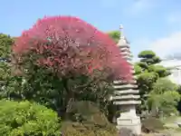大久寺(東京都)