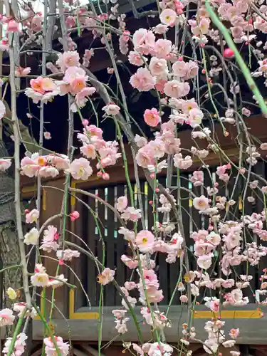 湯島天満宮の自然