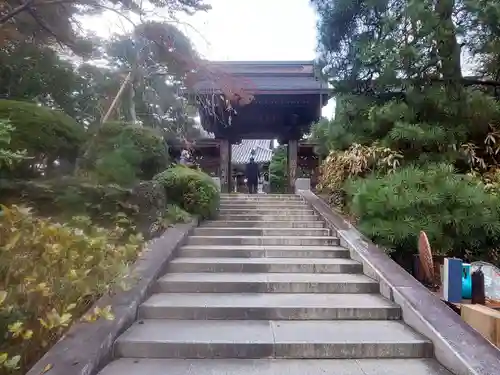 高幡不動尊　金剛寺の山門