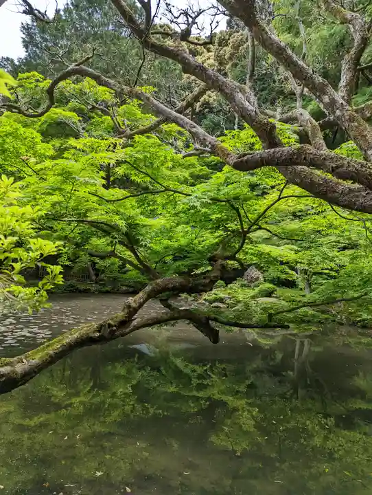 南禅院(京都府)
