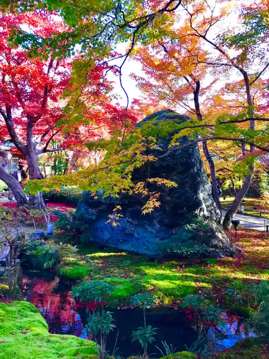 宝厳院(京都府)