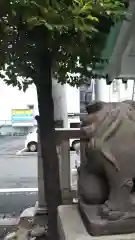 椙森神社の狛犬