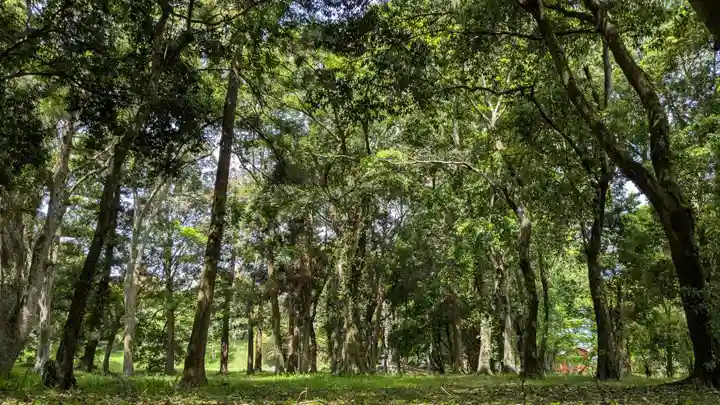 宇佐宮弥勒寺跡の自然