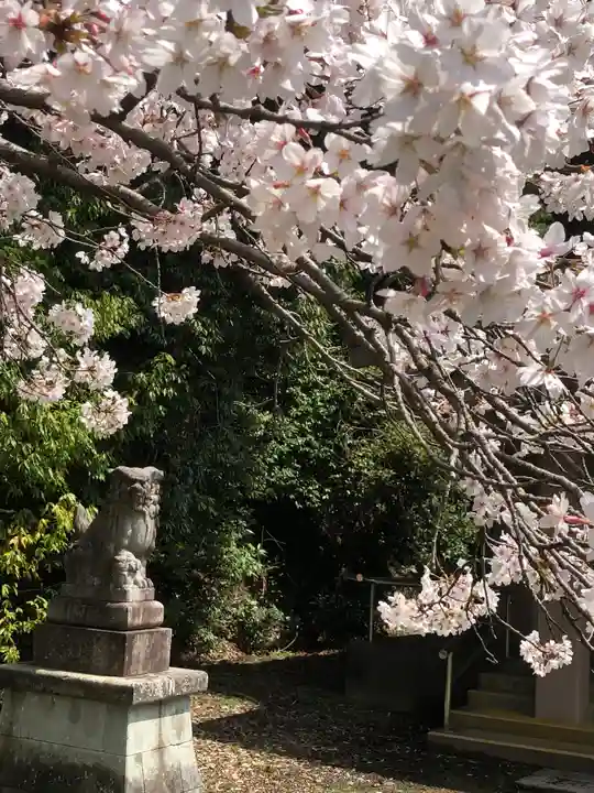 春日神社(福井県)