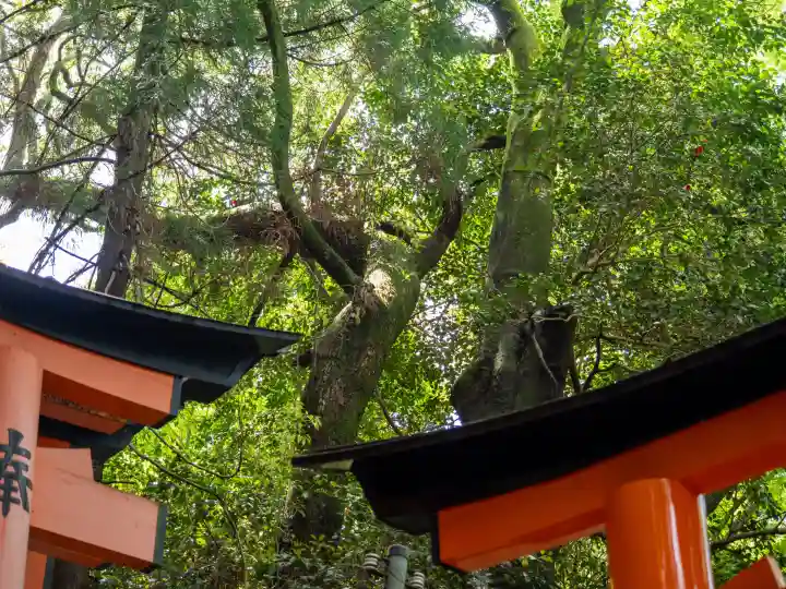 薬力社の{uncategorized: "未分類", other: "その他", undefined: "問題あり", building: "その他建物", grave: "お墓", sacred_gate: "鳥居", guardian: "狛犬", statue: "像", buddha: "仏像", history: "歴史", nature: "自然", garden: "庭園", animal: "動物", pagoda: "塔", temizu: "手水舎", mountain_gate: "山門・神門", sanctuary: "本殿・本堂", subordinate: "末社・摂社", art: "芸術", scenery: "景色", jizo: "地蔵", ema: "絵馬", goshuin: "御朱印", omikuji: "おみくじ", items: "授与品その他", amulet: "お守り", goshuincho: "御朱印帳", eats: "食事", festival: "お祭り", votive_dance: "神楽", shichigosan: "七五三参", wedding: "結婚式", experience: "体験その他", initially: "初詣", around: "周辺", anti_infection: "感染症対策"}