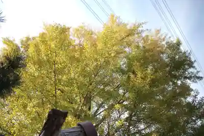 興長禅寺の自然