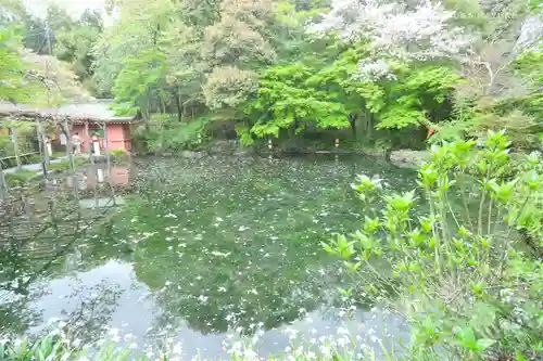 富士山本宮浅間大社の庭園