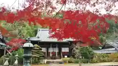 観音寺（山崎聖天）の庭園