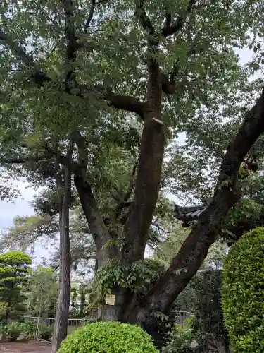 高勝寺(東京都)