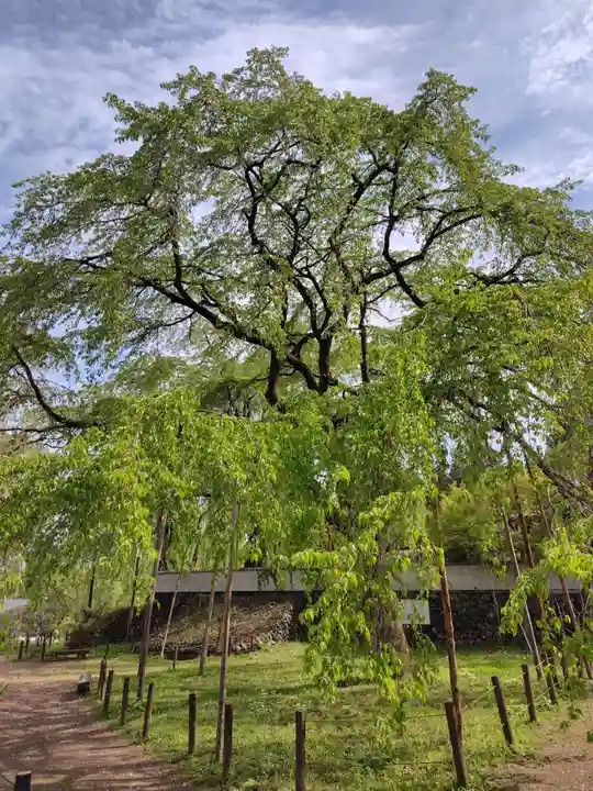 清雲寺(埼玉県)