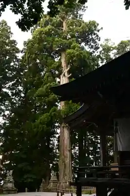 戸隠神社中社(長野県)