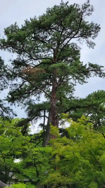 武田神社(山梨県)