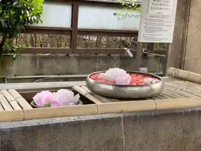 上野東照宮の手水舎