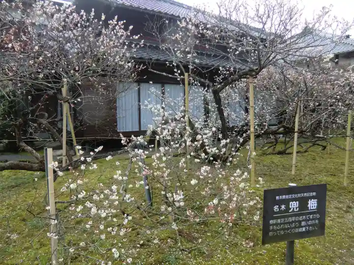 延慶寺(熊本県)
