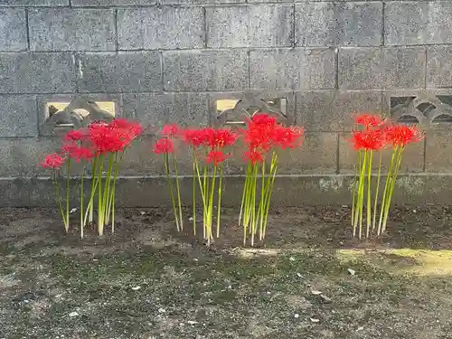 長流寺(千葉県)