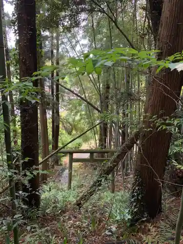 神社(名称不明)の鳥居