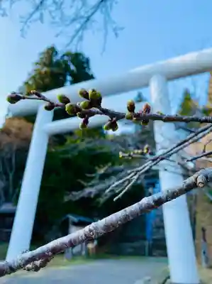 土津神社|こどもと出世の神さまの鳥居