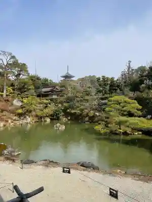 仁和寺の{uncategorized: "未分類", other: "その他", undefined: "問題あり", building: "その他建物", grave: "お墓", sacred_gate: "鳥居", guardian: "狛犬", statue: "像", buddha: "仏像", history: "歴史", nature: "自然", garden: "庭園", animal: "動物", pagoda: "塔", temizu: "手水舎", mountain_gate: "山門・神門", sanctuary: "本殿・本堂", subordinate: "末社・摂社", art: "芸術", scenery: "景色", jizo: "地蔵", ema: "絵馬", goshuin: "御朱印", omikuji: "おみくじ", items: "授与品その他", amulet: "お守り", goshuincho: "御朱印帳", eats: "食事", festival: "お祭り", votive_dance: "神楽", shichigosan: "七五三参", wedding: "結婚式", experience: "体験その他", initially: "初詣", around: "周辺", anti_infection: "感染症対策"}