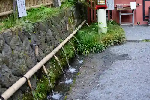 富士山本宮浅間大社の手水