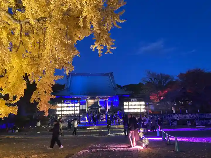 時宗総本山 遊行寺(正式:清浄光寺)(神奈川県)