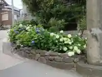 白山神社(東京都)