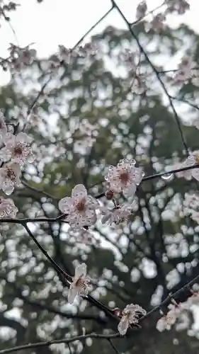十輪寺(京都府)