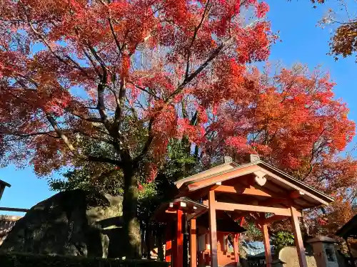 車折神社の{uncategorized: "未分類", other: "その他", undefined: "問題あり", building: "その他建物", grave: "お墓", sacred_gate: "鳥居", guardian: "狛犬", statue: "像", buddha: "仏像", history: "歴史", nature: "自然", garden: "庭園", animal: "動物", pagoda: "塔", temizu: "手水舎", mountain_gate: "山門・神門", sanctuary: "本殿・本堂", subordinate: "末社・摂社", art: "芸術", scenery: "景色", jizo: "地蔵", ema: "絵馬", goshuin: "御朱印", omikuji: "おみくじ", items: "授与品その他", amulet: "お守り", goshuincho: "御朱印帳", eats: "食事", festival: "お祭り", votive_dance: "神楽", shichigosan: "七五三参", wedding: "結婚式", experience: "体験その他", initially: "初詣", around: "周辺", anti_infection: "感染症対策"}