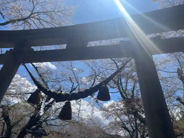 天鷹神社(岐阜県)