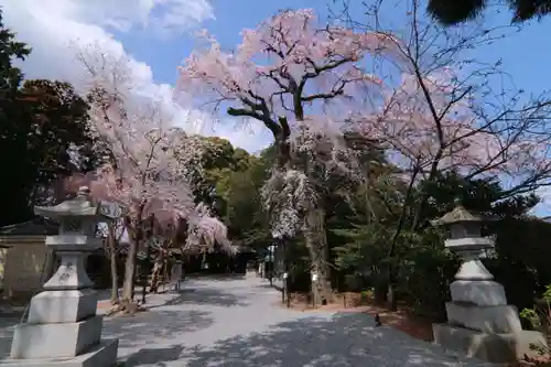 三島八幡神社の景色