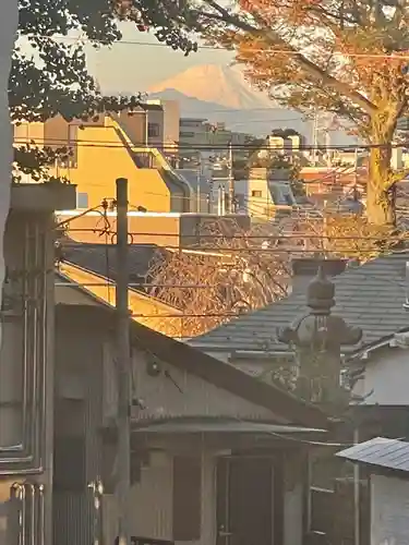 北澤八幡神社の景色