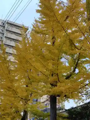 阿邪訶根神社(福島県)