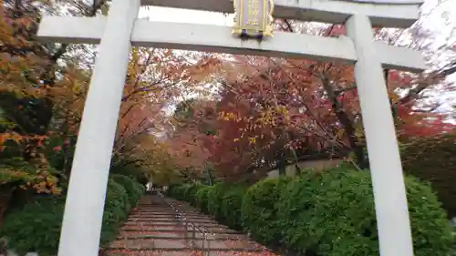 宗忠神社の鳥居