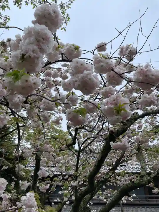 松尾寺(京都府)
