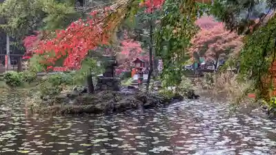 大原野神社(京都府)