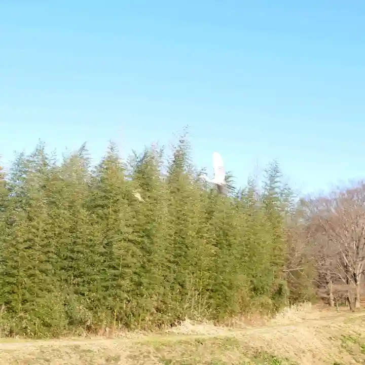班渓寺の{uncategorized: "未分類", other: "その他", undefined: "問題あり", building: "その他建物", grave: "お墓", sacred_gate: "鳥居", guardian: "狛犬", statue: "像", buddha: "仏像", history: "歴史", nature: "自然", garden: "庭園", animal: "動物", pagoda: "塔", temizu: "手水舎", mountain_gate: "山門・神門", sanctuary: "本殿・本堂", subordinate: "末社・摂社", art: "芸術", scenery: "景色", jizo: "地蔵", ema: "絵馬", goshuin: "御朱印", omikuji: "おみくじ", items: "授与品その他", amulet: "お守り", goshuincho: "御朱印帳", eats: "食事", festival: "お祭り", votive_dance: "神楽", shichigosan: "七五三参", wedding: "結婚式", experience: "体験その他", initially: "初詣", around: "周辺", anti_infection: "感染症対策"}