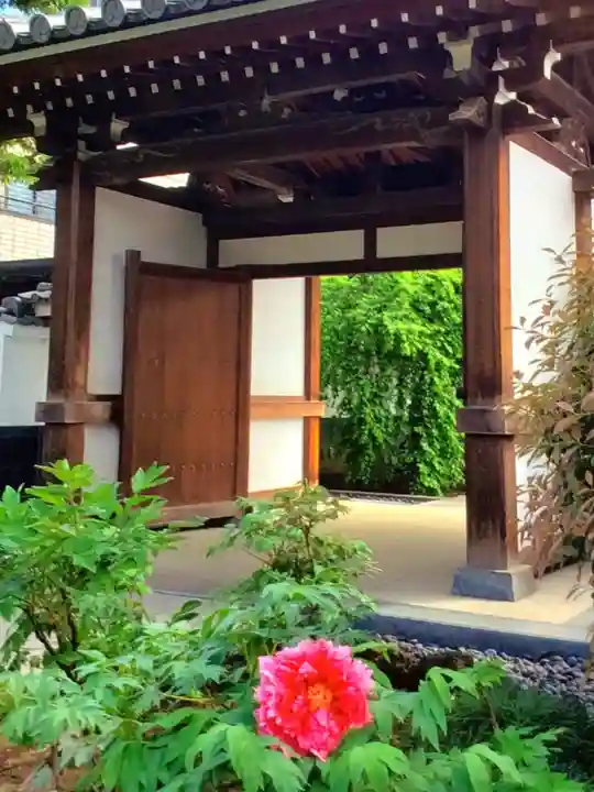 圓照寺(東京都)