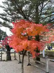 武田神社(山梨県)