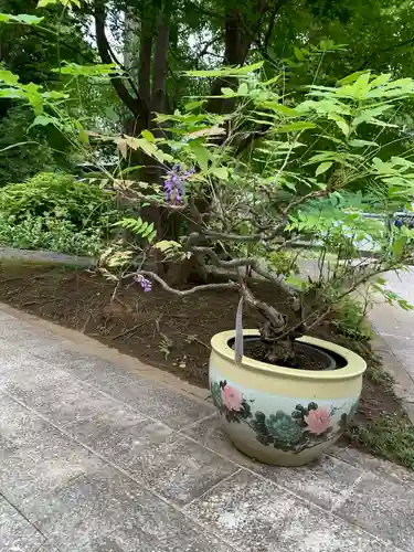 法華寺(神奈川県)